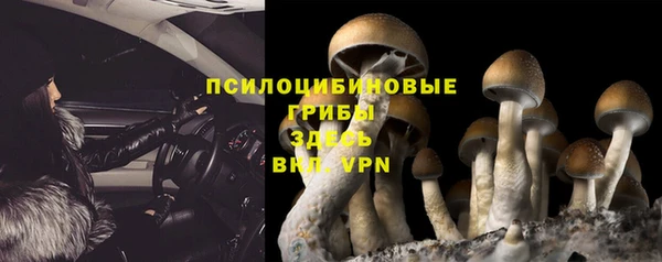 круглые Алексин