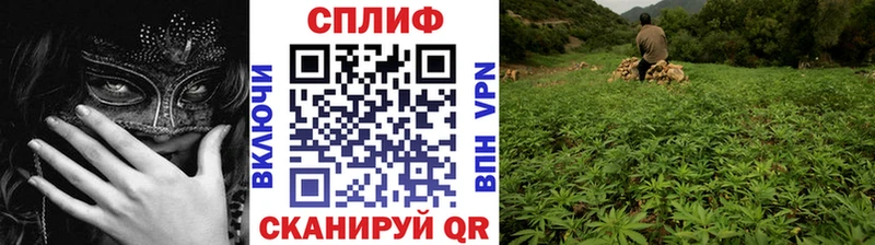 OMG зеркало Комсомольск Конопля MAZAR